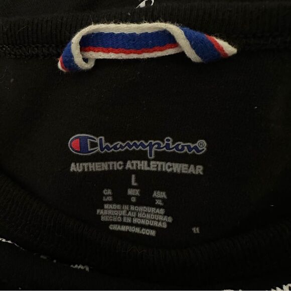 Champion Black Striped Men's T-Shirt - Picture 3 of 7